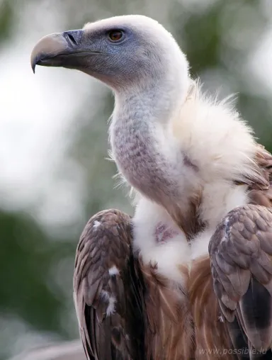 Bild: Die Naturfotografen treffen sich.