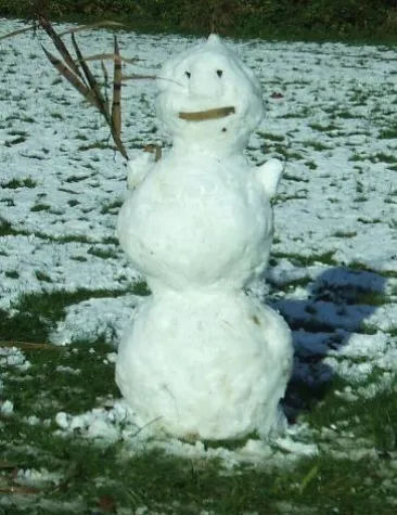 Buchempfehlungen zu Weihnachten Bild: Buchempfehlungen zu Weihnachten