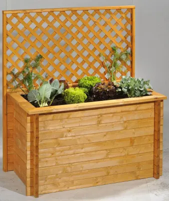 Bild: Gärtnern in der Großstadt: Der Trend vom „Urban Gardening“