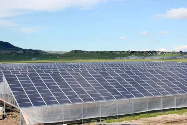 Photovoltaik-Hersteller WINAICO realisiert 16 MW Solarprojekt auf Sardinien Bild: Photovoltaik-Hersteller WINAICO realisiert 16 MW Solarprojekt auf Sardinien
