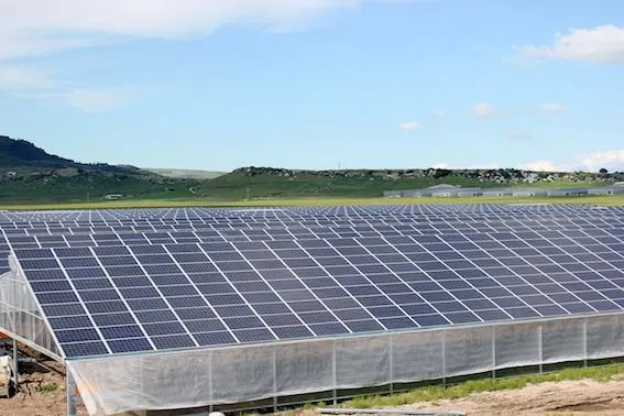 Bild: Photovoltaik-Hersteller WINAICO realisiert 16 MW Solarprojekt auf Sardinien