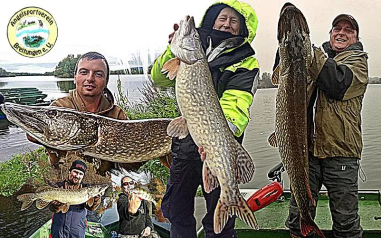 Bild: Die Geschichte des ASV Breitungen e.V.