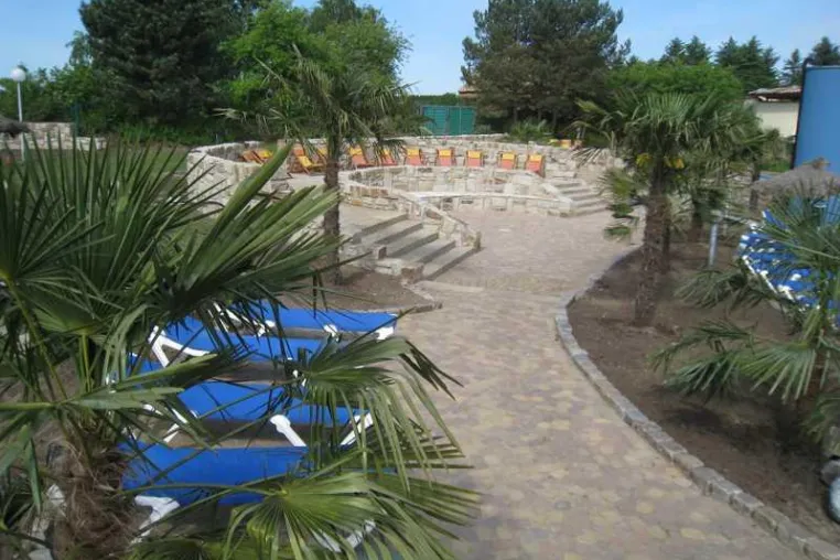Bild: Erster norddeutscher PalmenGarten