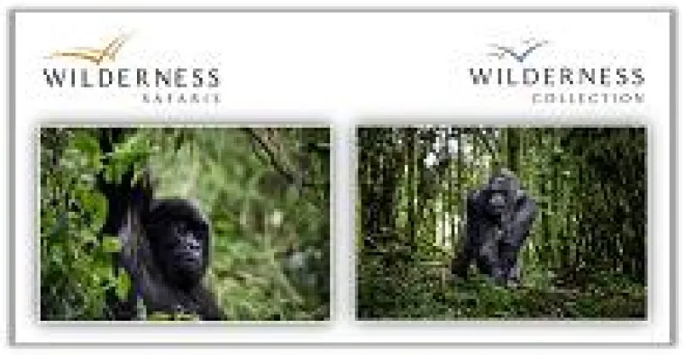 Besuch bei unseren nächsten Verwandten Bild: Besuch bei unseren nächsten Verwandten