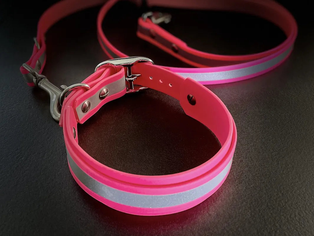 Neonfarbene Hundehalsbänder und Leinen aus Biothane (© beautytau.de)
