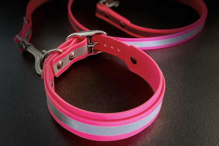 Neue Neon Hundehalsband-Design-Collection bringt den Vierbeiner ins sichere Licht Bild: Neue Neon Hundehalsband-Design-Collection bringt den Vierbeiner ins sichere Licht