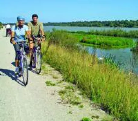 Bad Griesbach ruft zum KWA 24 Stunden Mountainbike-Rennen in das Bayerische Golf & Thermenland Bild: Bad Griesbach ruft zum KWA 24 Stunden Mountainbike-Rennen in das Bayerische Golf & Thermenland