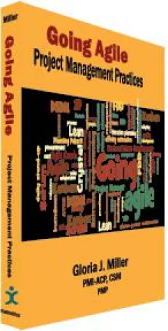 Bild: Buch „Going Agile – Project Management Practices“ veröffentlicht