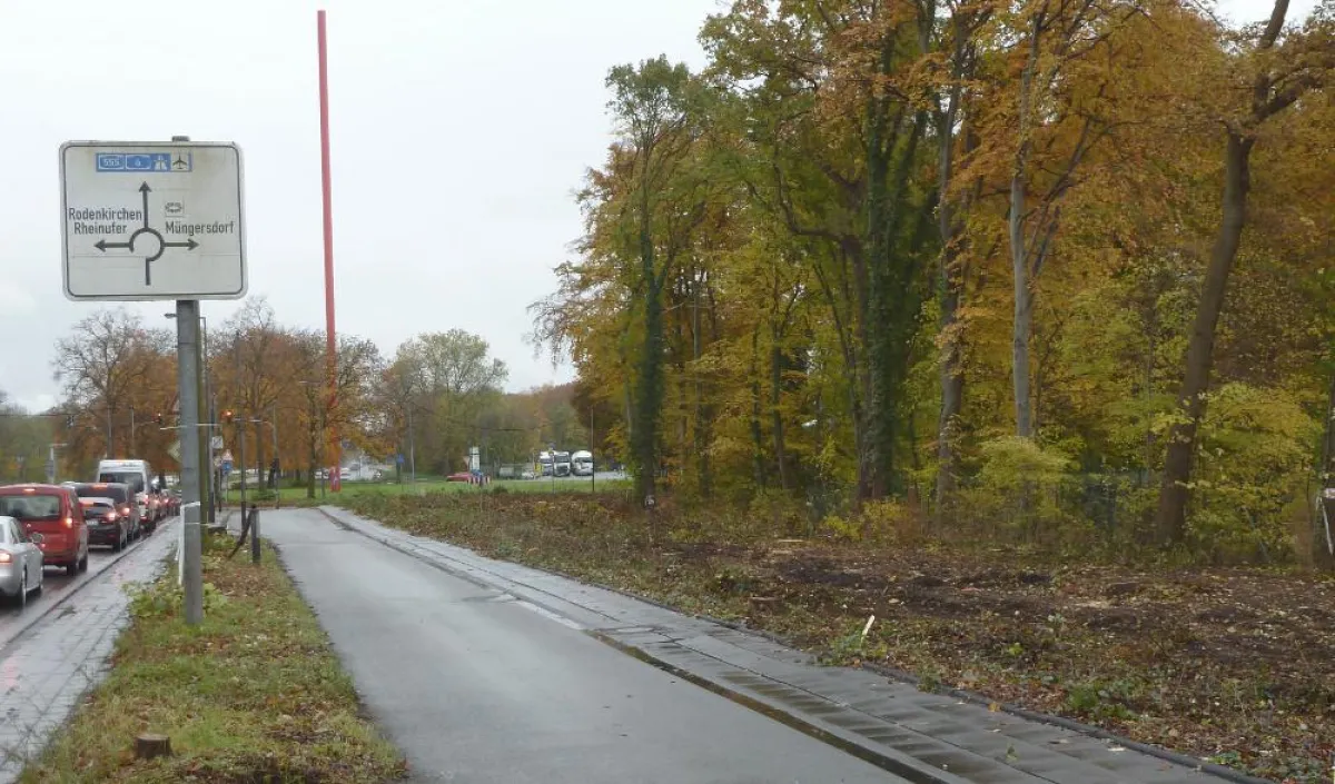 Rodung für eine nicht nutzbare Buswendeschleife und Busspur. Foto: A. Wulf
