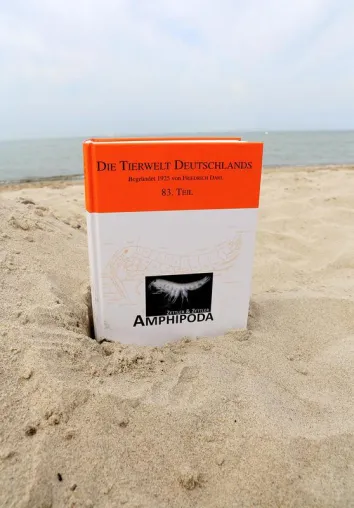 Bild: Amphipods of the Baltic Sea in focus– IOW scientists add new volume to renowned animal encyclopaedia