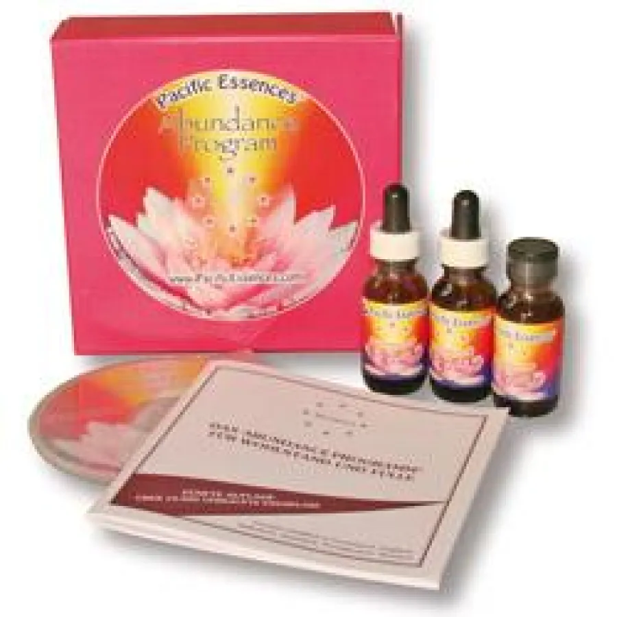 Das Abundance Programm für Wohlstand und Fülle