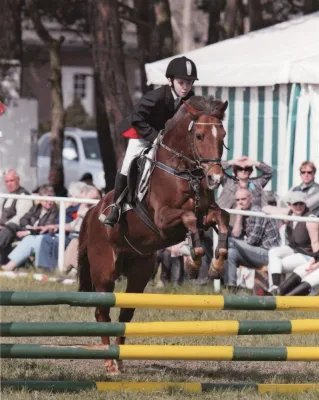 Bild: Reitanlage-Buch zu Besuch in Tegel