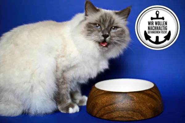 Bild: Mehr Bewusstsein für den ökologischen Pfotenabdruck von Hund und Katz