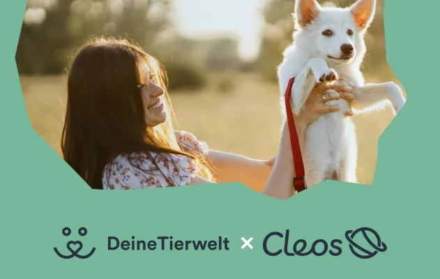 Bild: Deine Tierwelt Protect und Cleos Welt schenken Tiereltern die ersten Monate ihrer Tierversicherung