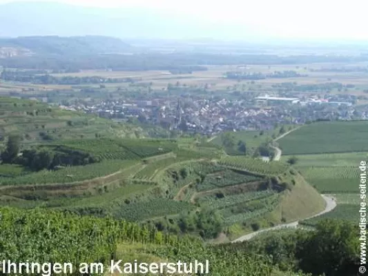 Bild: Ihringen am Kaiserstuhl