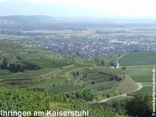Bild: Ihringen am Kaiserstuhl
