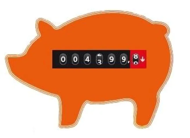 Bild: SPARST DU NOCH ODER LEBST DU SCHON?