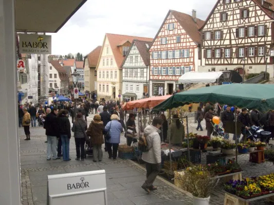 Bild: Tulpenfrühling in Backnang mit dem Babor Beauty Spa