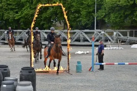 Sicherheit in allen Facetten – Sicherheitsmessen PYROS, ISET und IDET in Tschechien/Brünn Bild: Sicherheit in allen Facetten – Sicherheitsmessen PYROS, ISET und IDET in Tschechien/Brünn