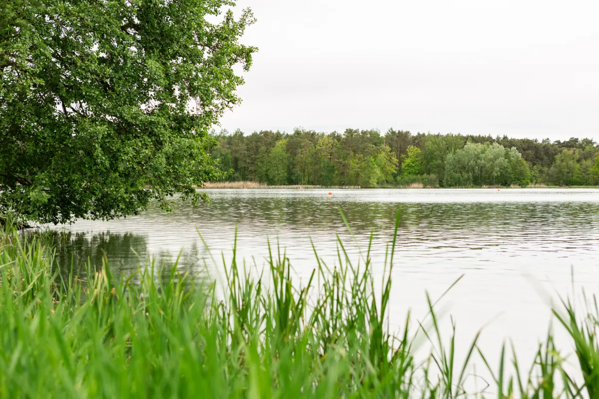 Dechsendorfer Weiher (© Anna Seibel)
