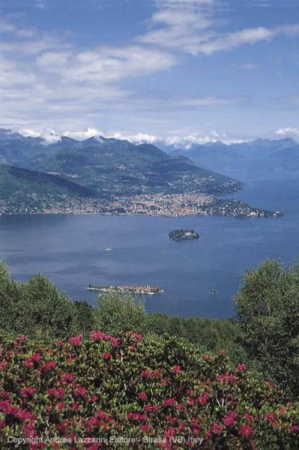 Strea - Lago Maggiore