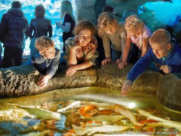 Bild: Winter ade: Alternativen zum Ski-Urlaub