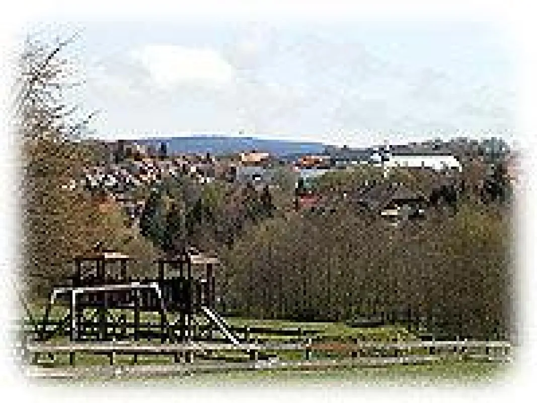 Clausthal-Zellerfeld Stadtblick