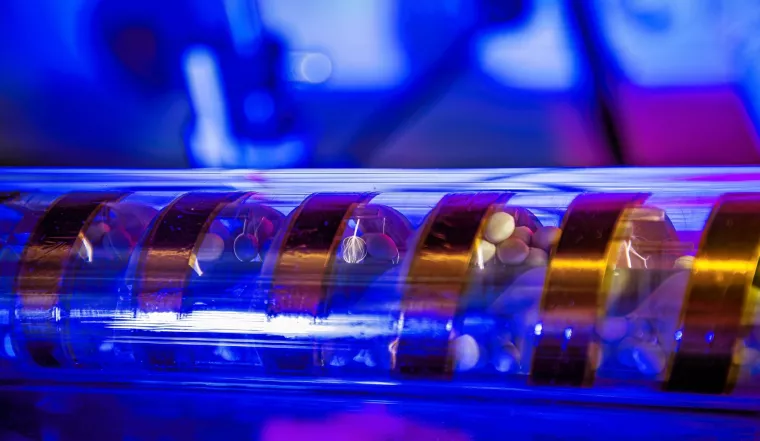 Bild: Plasmabehandlung verbessert Saatguthygiene: Abschluss des Forschungsprojekts zeigt großes Potenzial