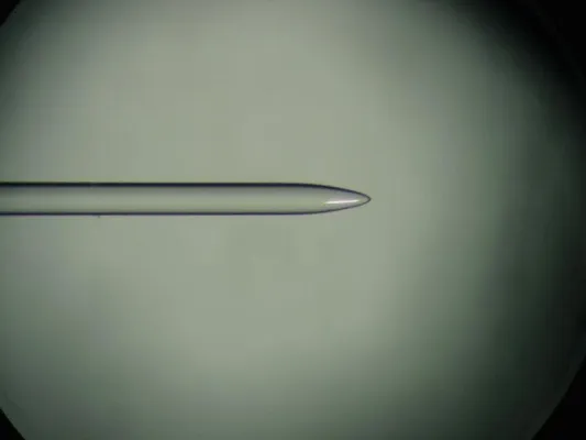 HarzOptics GmbH bietet maßgefertigte Faserlinsen an Bild: HarzOptics GmbH bietet maßgefertigte Faserlinsen an