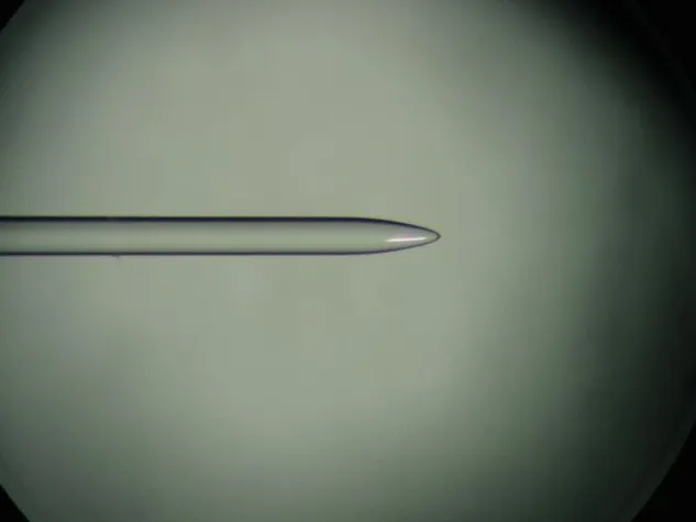 Bild: HarzOptics GmbH bietet maßgefertigte Faserlinsen an