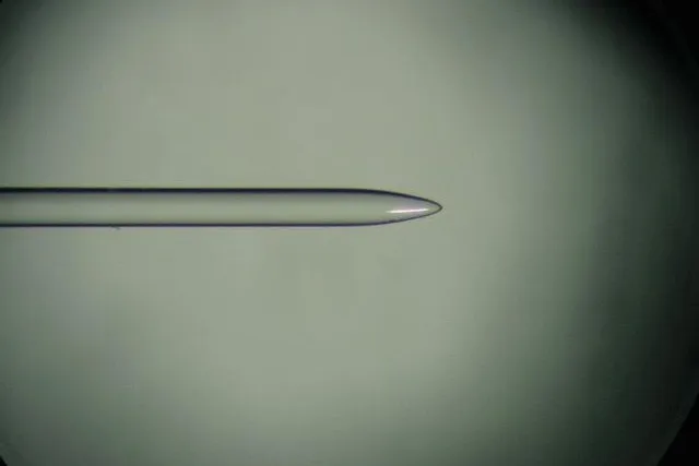 Bild: HarzOptics GmbH bietet maßgefertigte Faserlinsen an