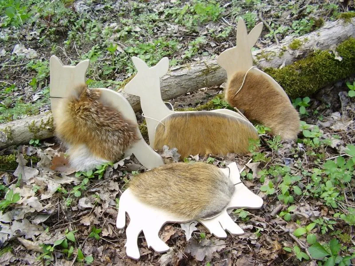 Spielerisch die Natur kennenlernen - Tasttiere von Luftifux