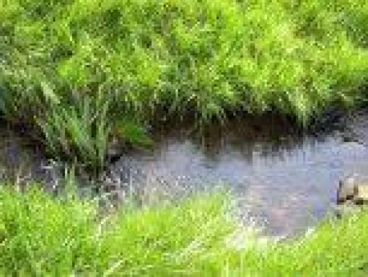 Bild: Kreativ coachen lernen – Ausbildung ab 23.10.2009