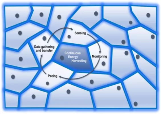 Bild: Energiegewinnung aus biologischen Zellen