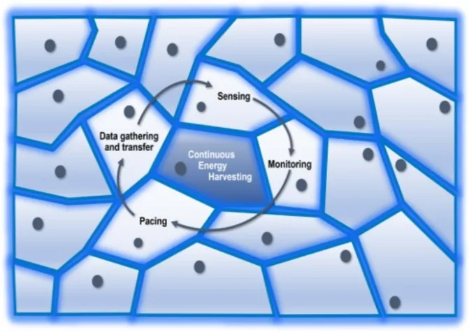 Bild: Energiegewinnung aus biologischen Zellen