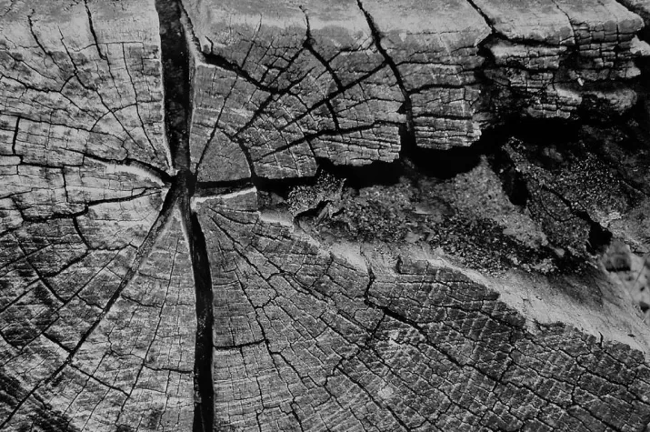 Bild: Fotoausstellung von Peter Kroll im Knappschaftskrankenhaus