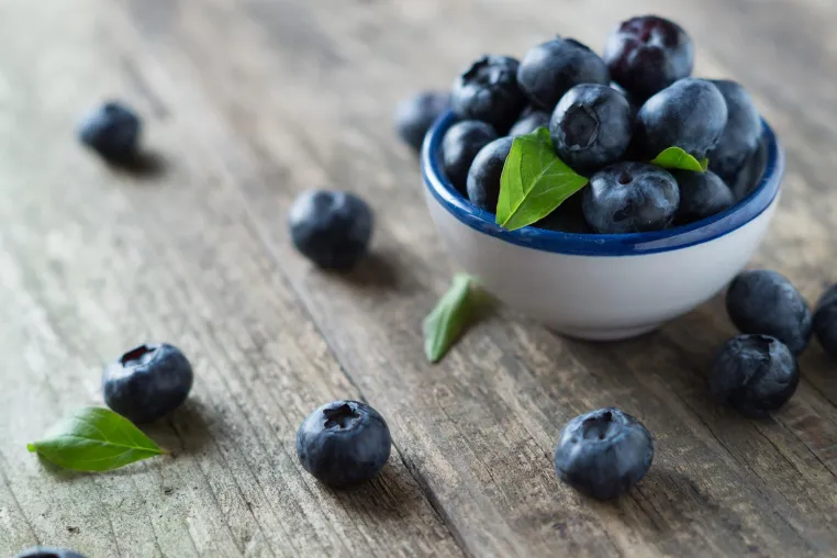 Blaubeeren senken Risiken fürs Herz-Kreislauf-System Bild: Blaubeeren senken Risiken fürs Herz-Kreislauf-System