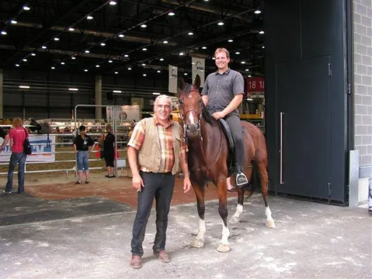 Bild: Europäische Pferde Akademie und Bentaiga/ O-M-E-G-A-Saddles