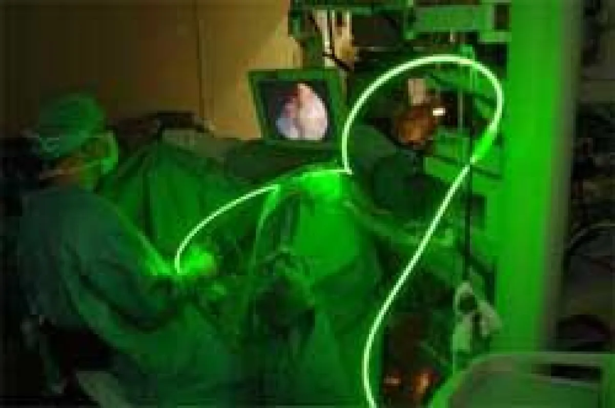 Wettbewerbsbeitrag Wissen-Schafft-Bilder 2006