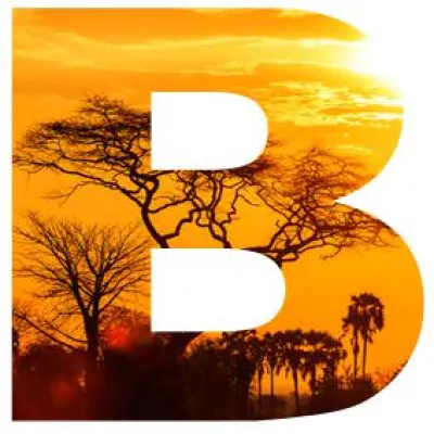 Bild: Kreativ werden mit Barua: Poste deinen Tag - Schreiben, Kommentieren, Teilen, News und regionale Einkaufstipps