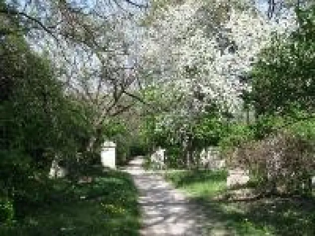 Bild: Eine Empfehlung der Zeitschrift "Finanztest" - Die Solidar Sterbegeldversicherung