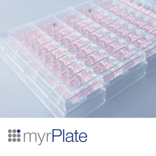 Bild: Myriamed MyrPlates werden verwendet, um künstliche Bindegewebe (ECT) zu erzeugen
