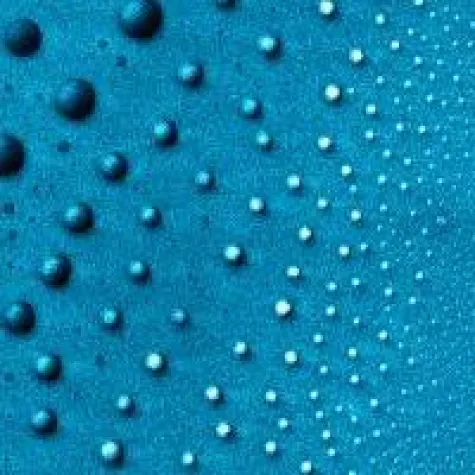 Bild: Nanotechnologie in Ostdeutschland - Status Quo und Entwicklungsperspektiven