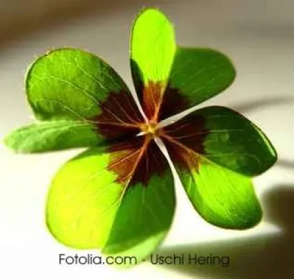 Bild: Das Glück ist relativ