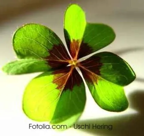 Das Glück ist relativ Bild: Das Glück ist relativ