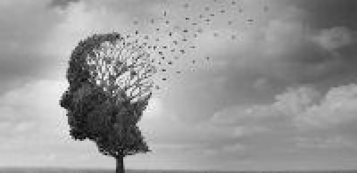 Stück für Stück setzt das Kurzzeitgedächtnis aus