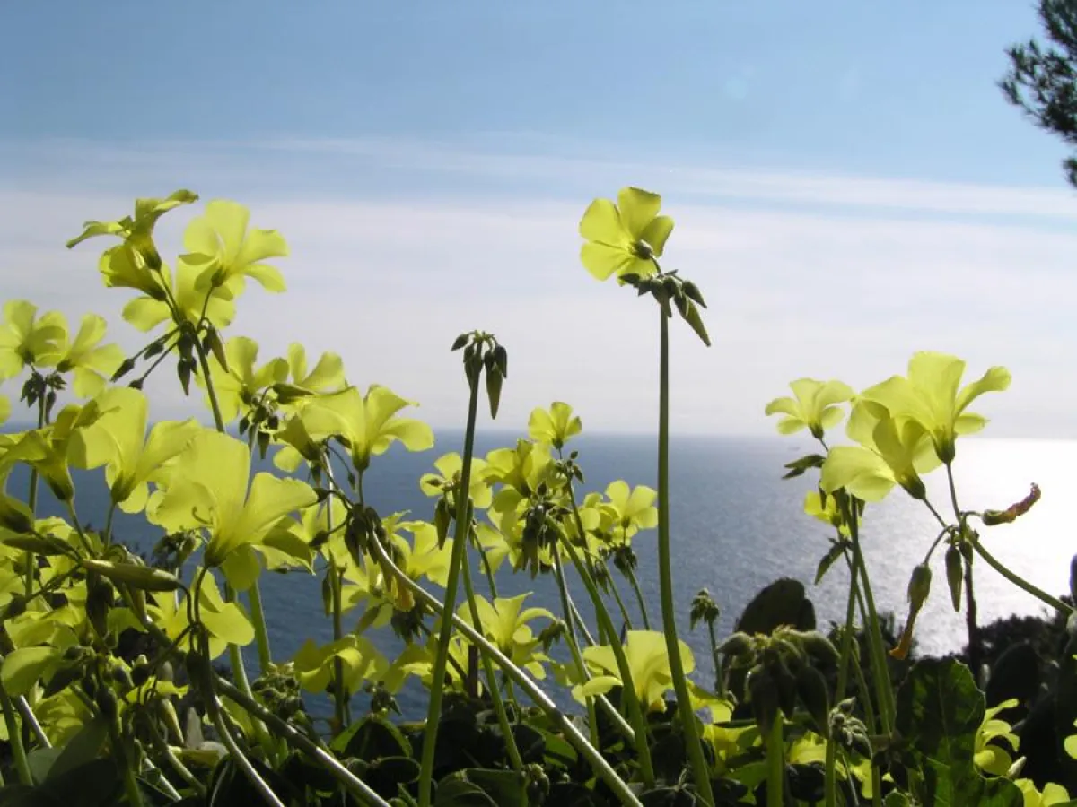 Honorarfreier Abdruck bei Namensnennung (KBT), Beleg erwünscht