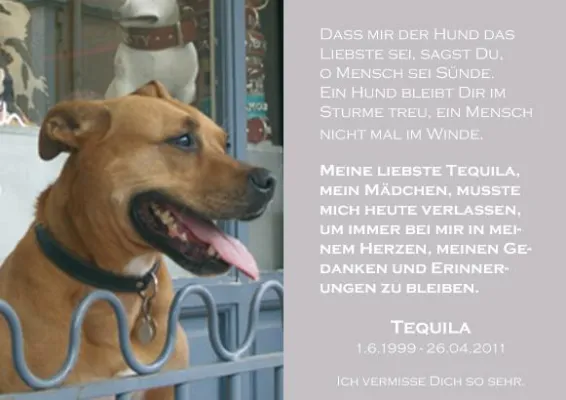 Bild: Easyverlag trauert um die tierische Patin des ersten deutschen Hundekeksbackbuches