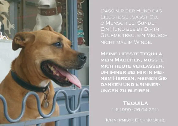 Bild: Easyverlag trauert um die tierische Patin des ersten deutschen Hundekeksbackbuches