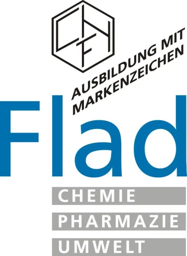 Bild: Bildungsoffensive der Vereinten Nationen - Theaterprojekt am Stuttgarter Institut Dr. Flad